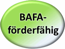 BAFA-Förderung
